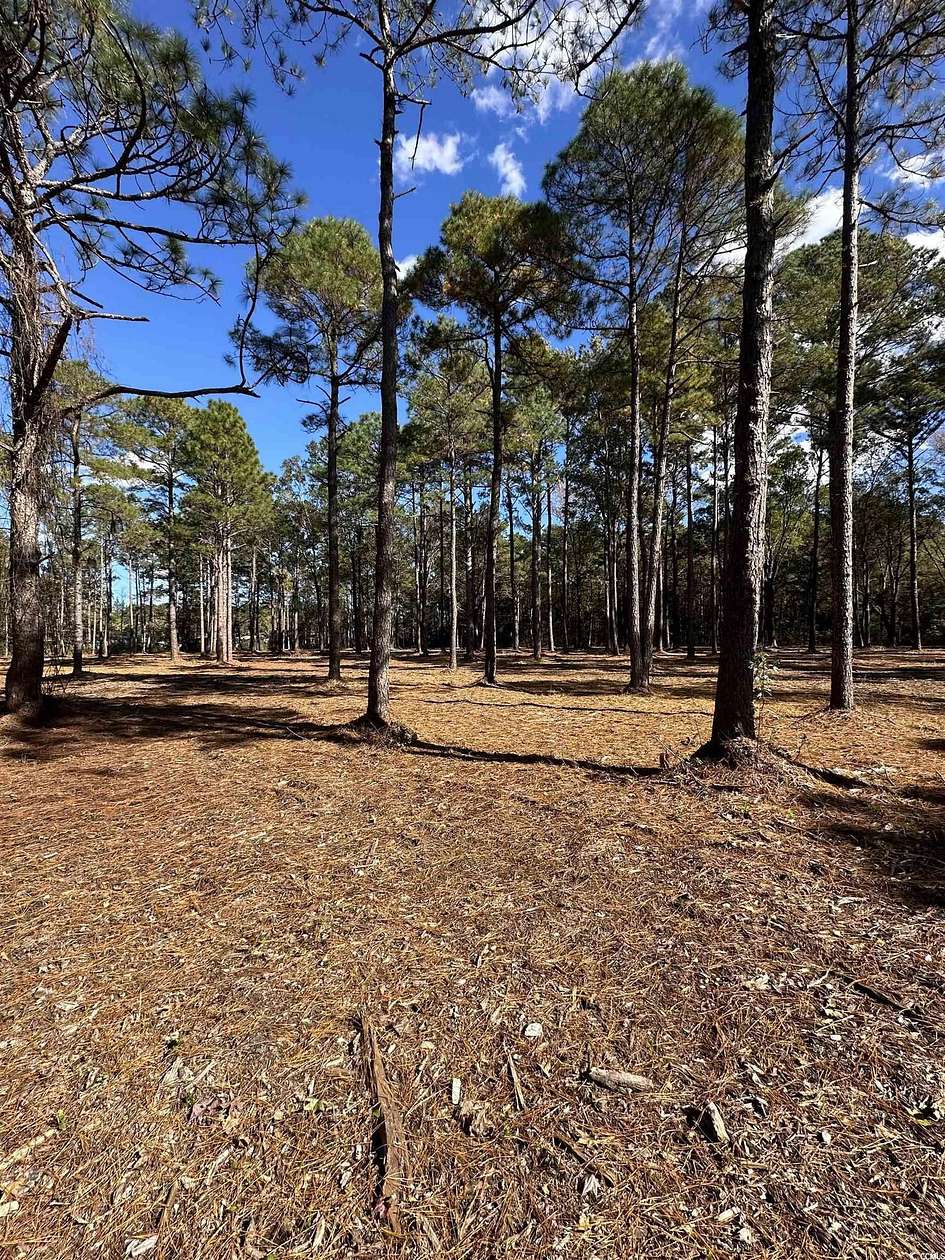 5 Acres of Residential Land for Sale in Myrtle Beach, South Carolina