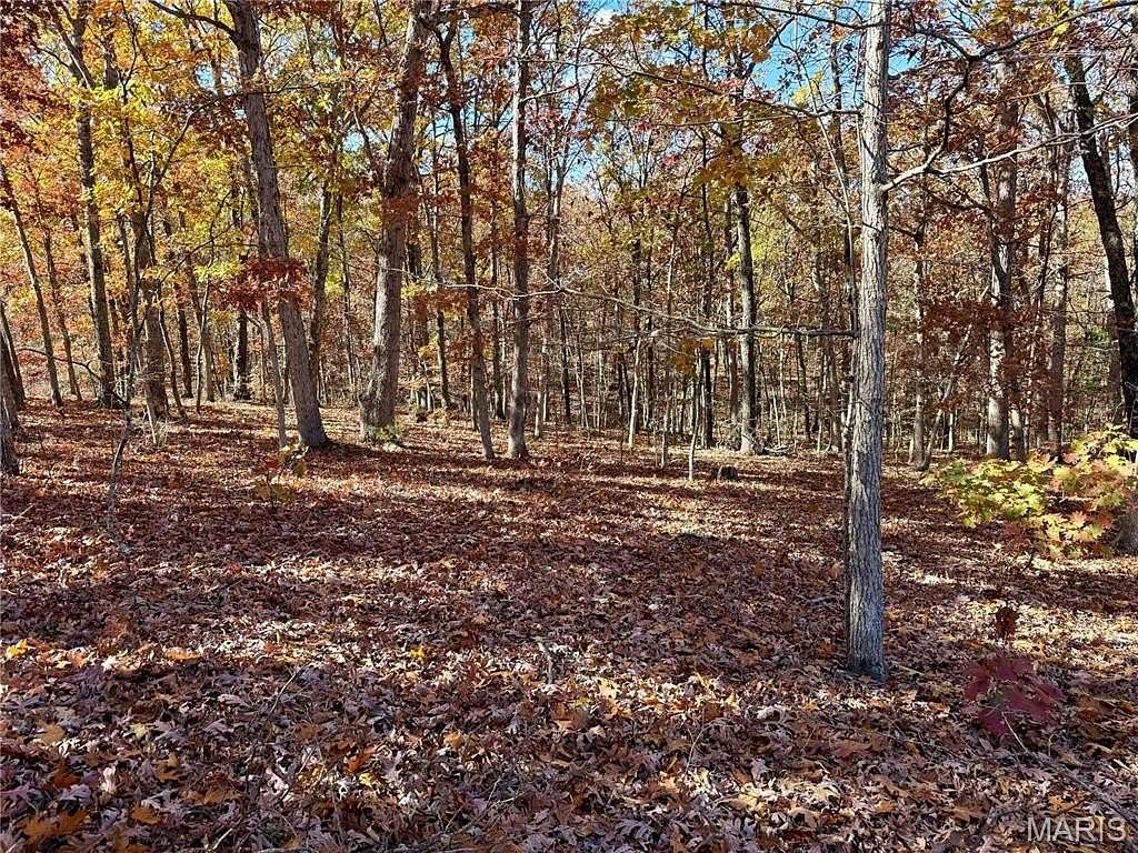12.7 Acres of Recreational Land for Sale in Cadet, Missouri