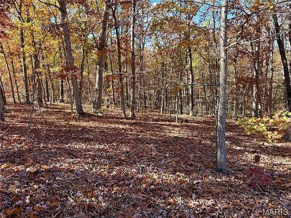 12.7 Acres of Recreational Land for Sale in Cadet, Missouri