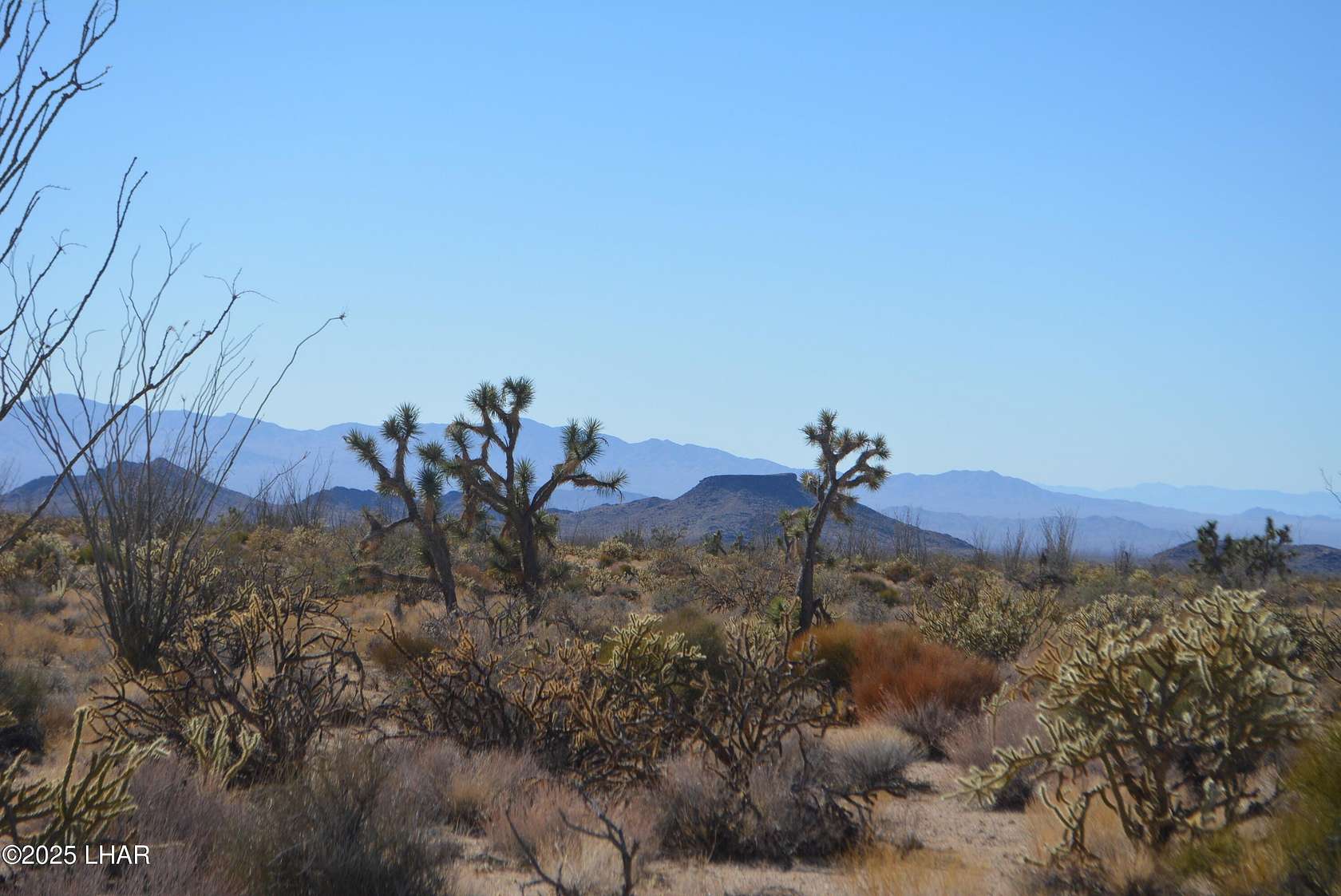 1 Acre of Residential Land for Sale in Yucca, Arizona