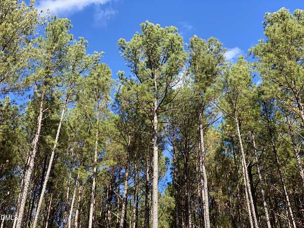 4.64 Acres of Residential Land for Sale in Siler City, North Carolina