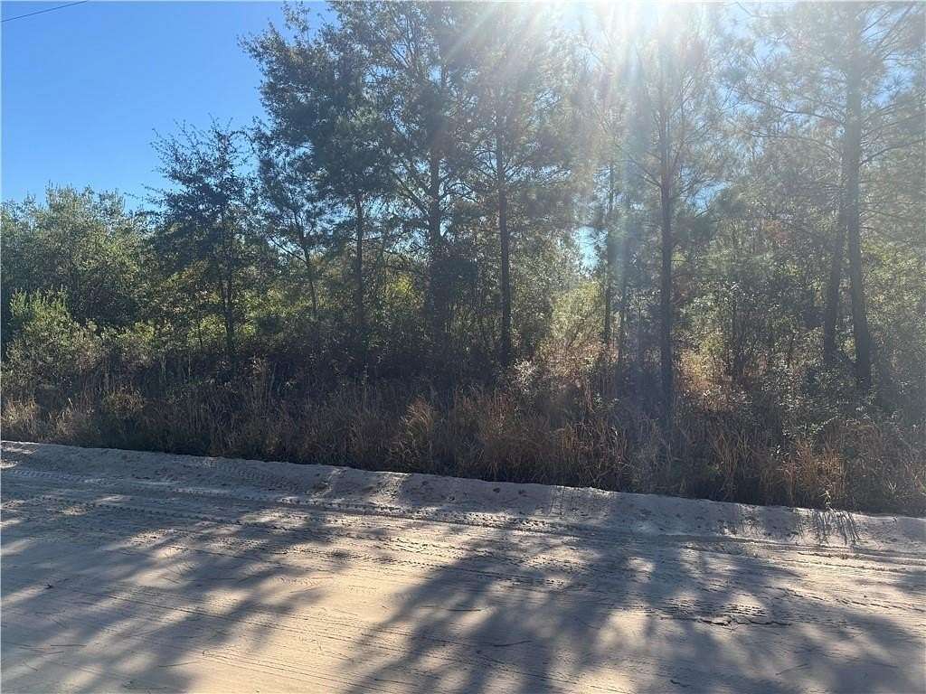 1.7 Acres of Land for Sale in Hoboken, Georgia