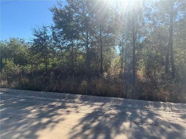 1.7 Acres of Land for Sale in Hoboken, Georgia