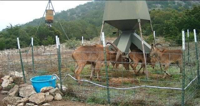 148 Acres of Improved Recreational Land for Sale in Carta Valley, Texas