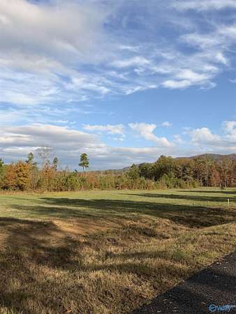 3.7 Acres of Residential Land for Sale in Piedmont, Alabama