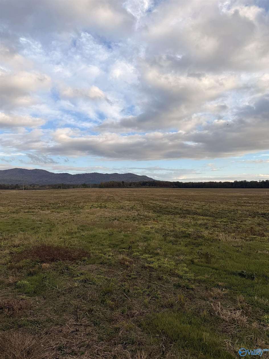 3.1 Acres of Residential Land for Sale in Piedmont, Alabama