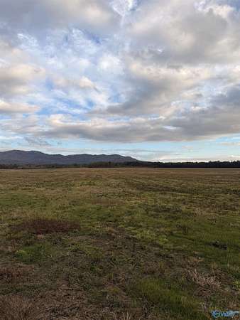 3.1 Acres of Residential Land for Sale in Piedmont, Alabama