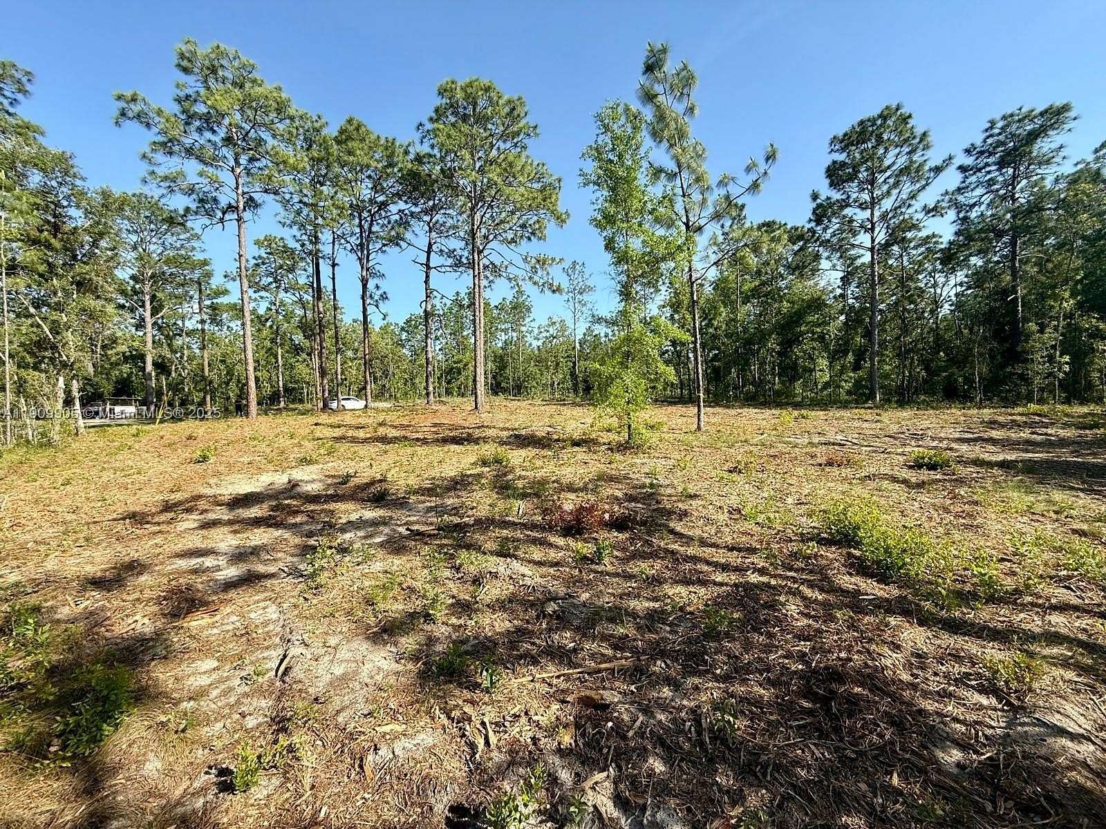 0.23 Acres of Residential Land for Sale in Williston, Florida