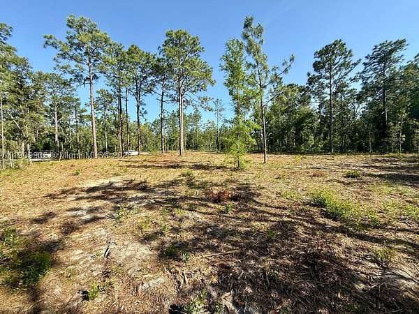 0.23 Acres of Residential Land for Sale in Williston, Florida