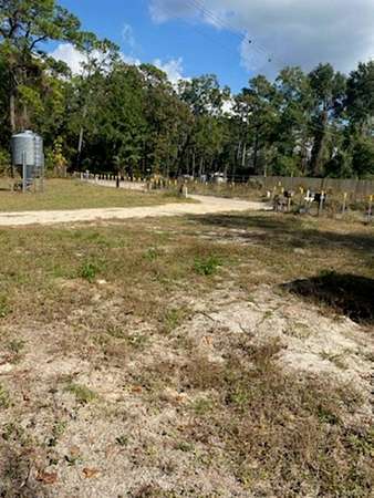 20.1 Acres of Recreational Land for Sale in Crawfordville, Florida