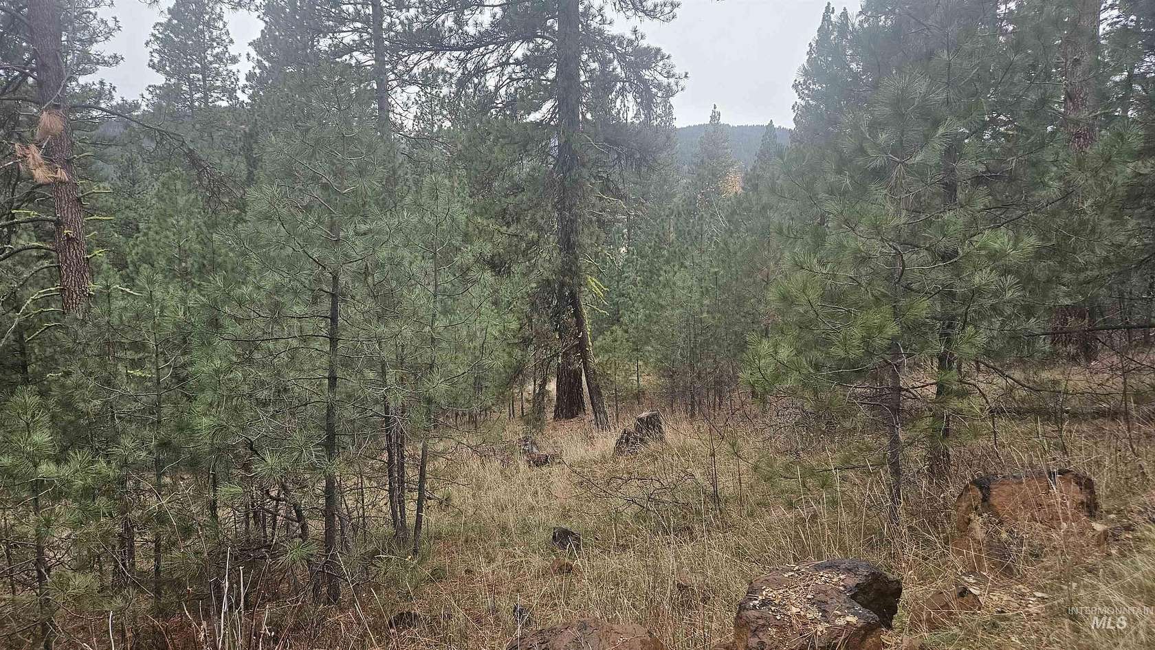 3.42 Acres of Residential Land for Sale in Boise, Idaho