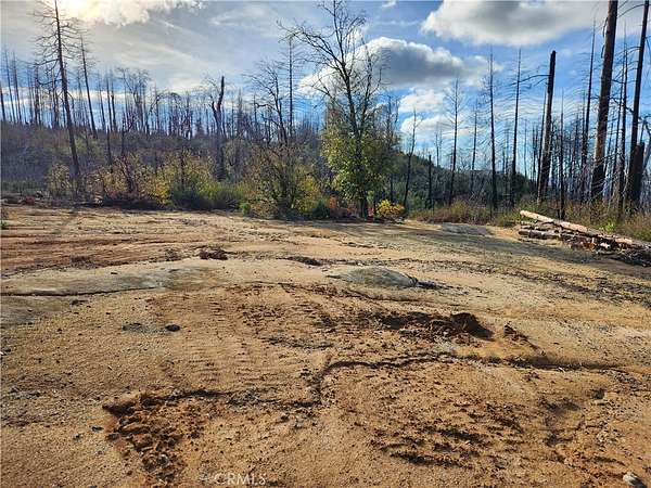 6.8 Acres of Land for Sale in Berry Creek, California