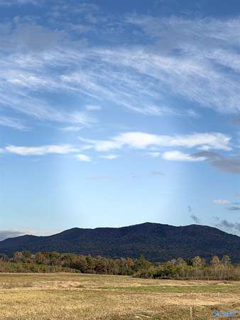 3.4 Acres of Residential Land for Sale in Piedmont, Alabama