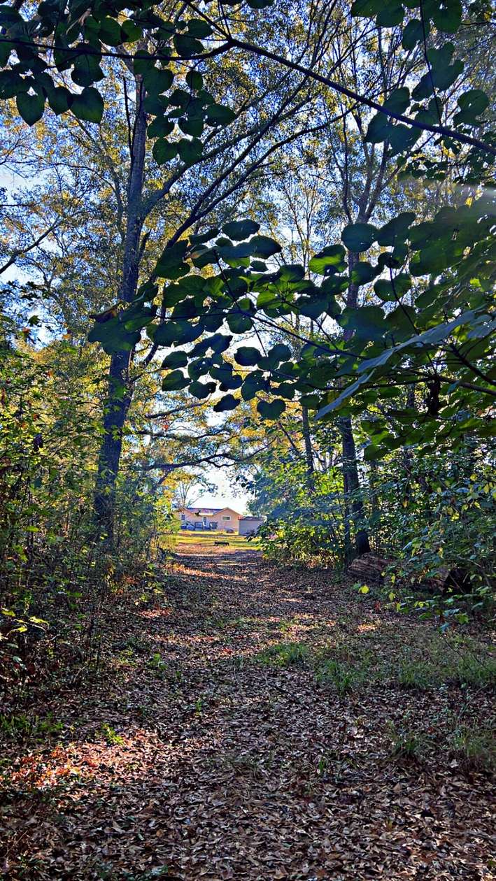 6.6 Acres of Residential Land for Sale in Laurel Hill, Florida