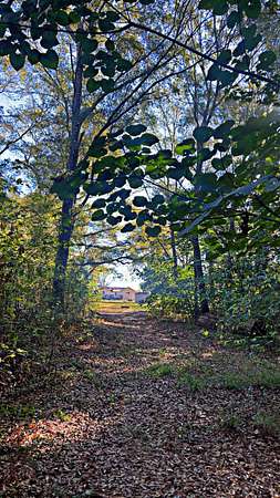 6.6 Acres of Residential Land for Sale in Laurel Hill, Florida