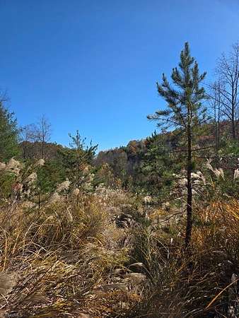 10 Acres of Land for Sale in Millers Creek, North Carolina