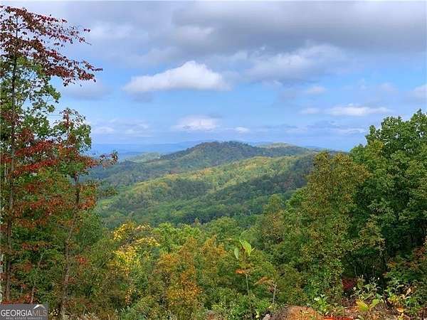 0.95 Acres of Land for Sale in Ranger, Georgia
