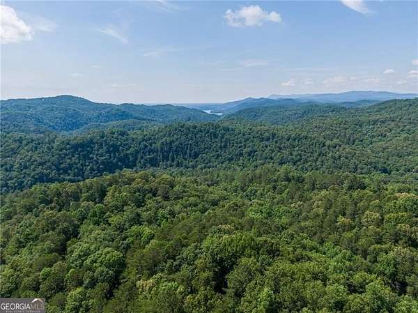 1.47 Acres of Land for Sale in Ranger, Georgia