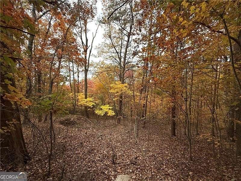 1.5 Acres of Land for Sale in Ranger, Georgia