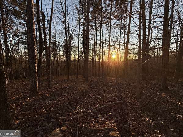 1.5 Acres of Residential Land for Sale in Ranger, Georgia