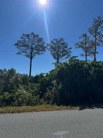 0.23 Acres of Residential Land for Sale in Palm Bay, Florida