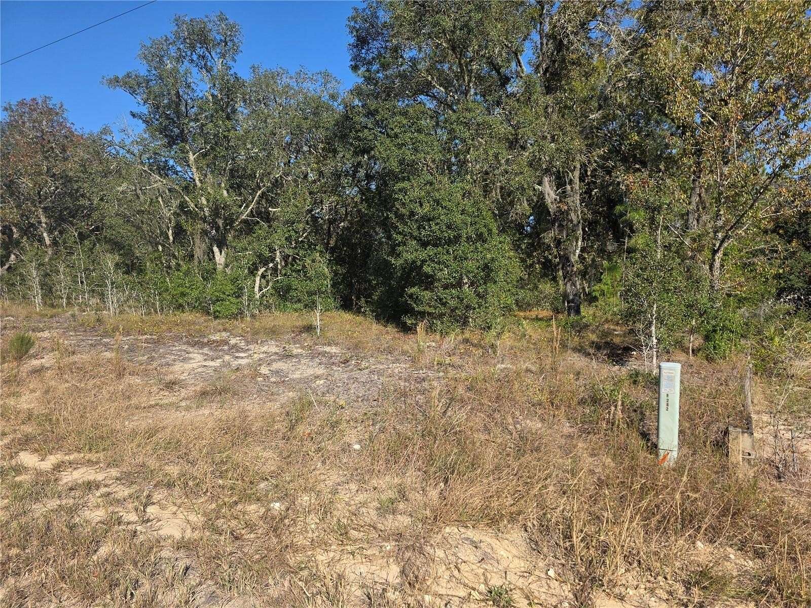 1 Acre of Residential Land for Sale in Dunnellon, Florida