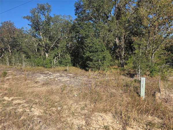 1 Acre of Residential Land for Sale in Dunnellon, Florida