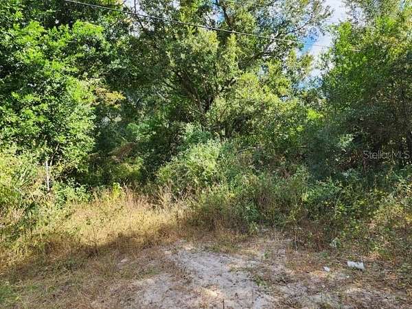 0.91 Acres of Residential Land for Sale in Thonotosassa, Florida