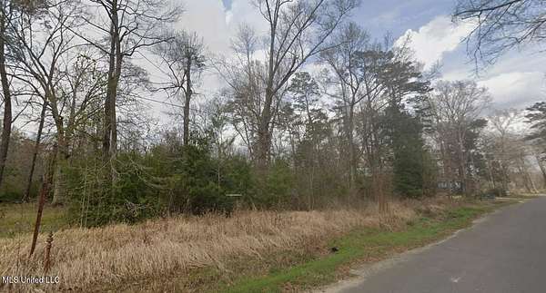 0.3 Acres of Residential Land for Sale in Lucedale, Mississippi