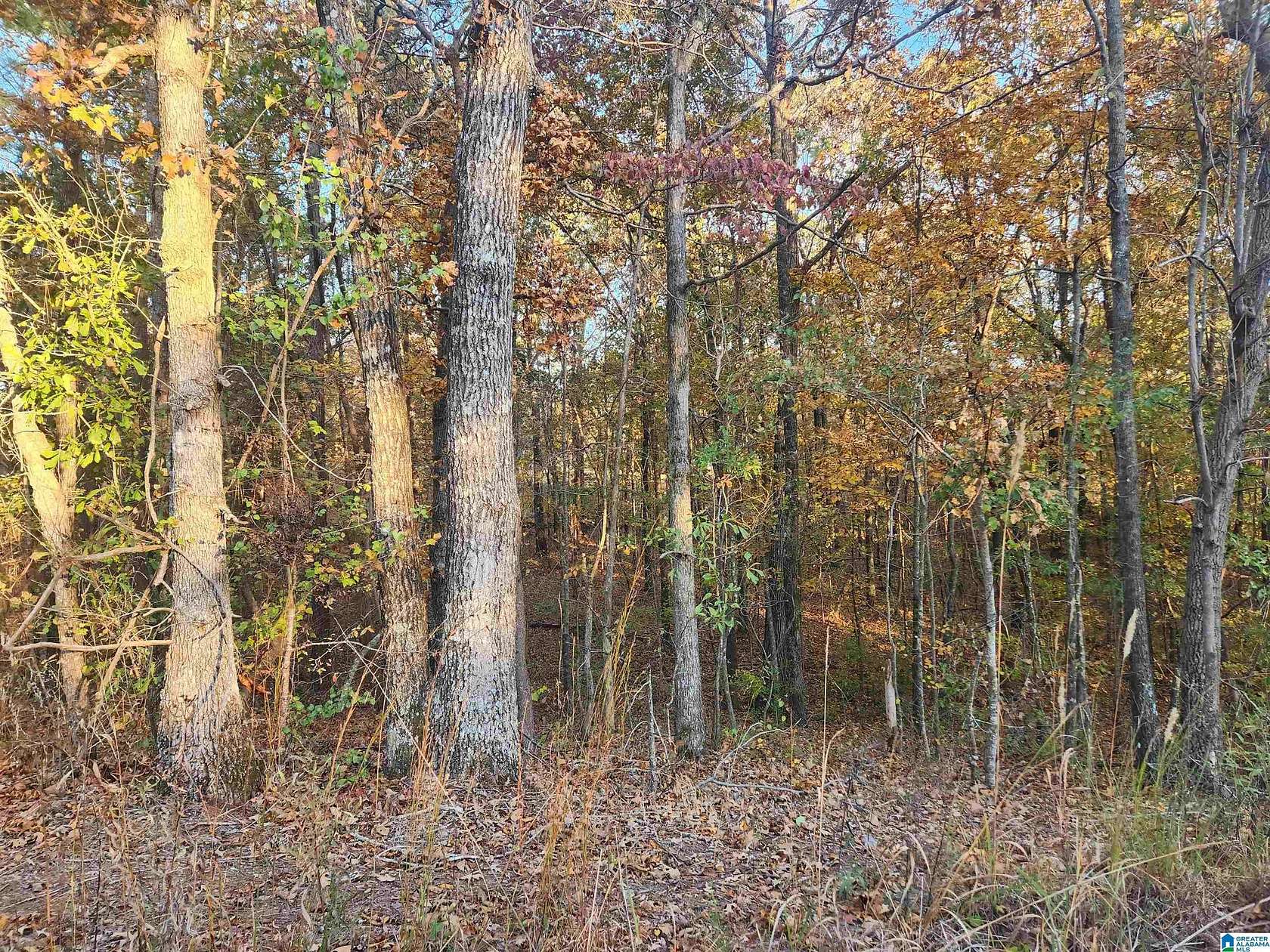 1 Acre of Residential Land for Sale in Sylacauga, Alabama