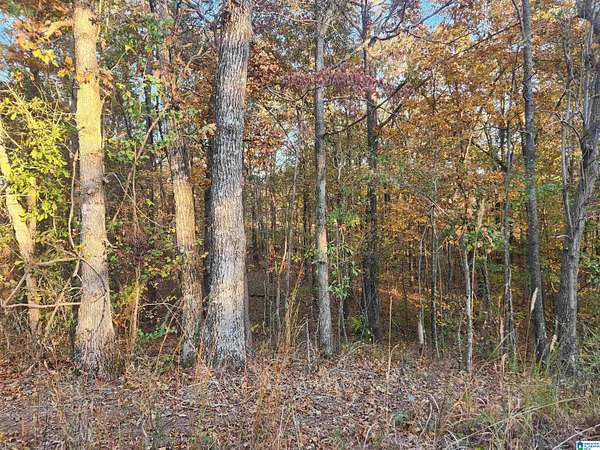 1 Acre of Residential Land for Sale in Sylacauga, Alabama