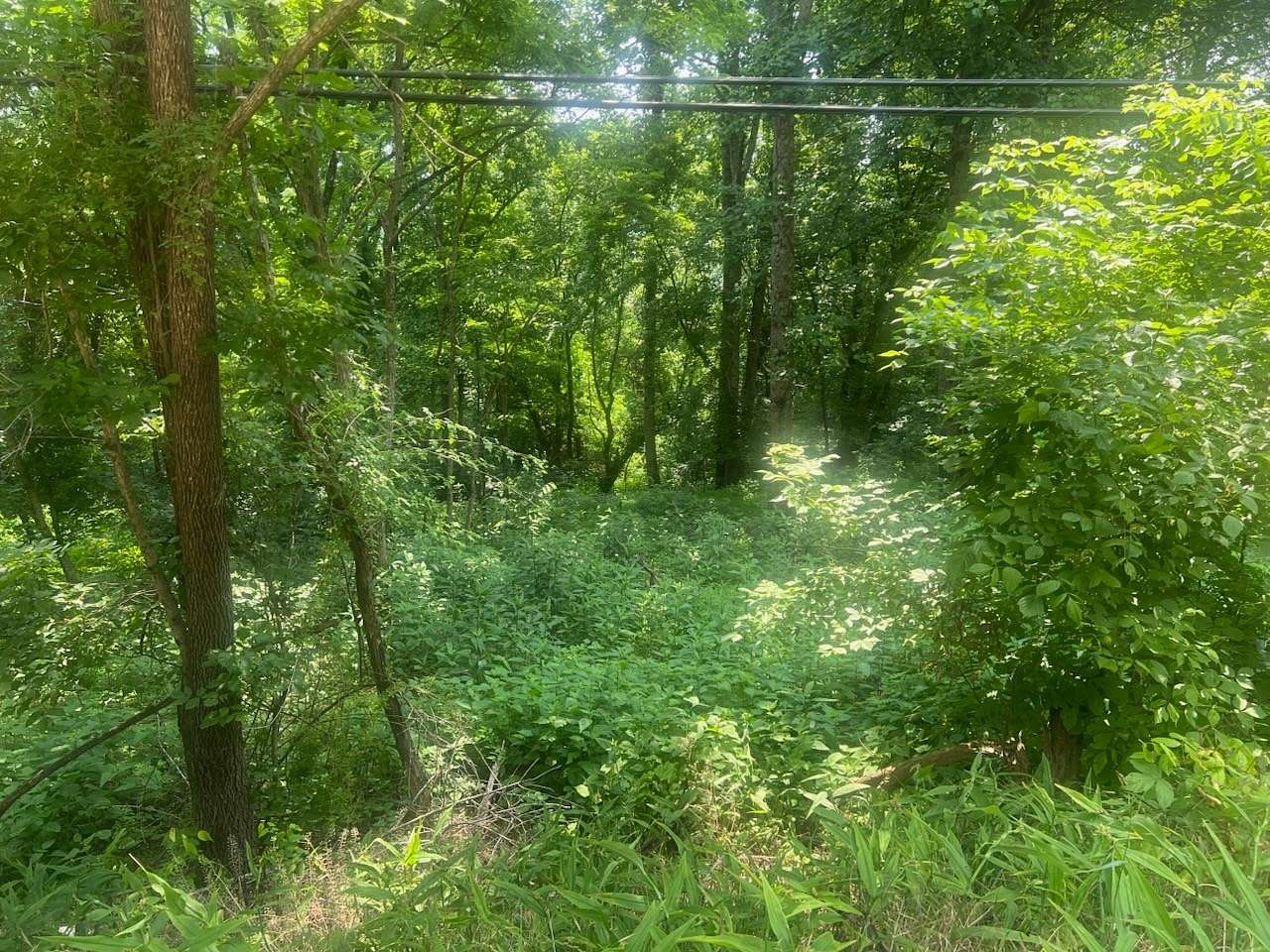 5.1 Acres of Land for Sale in Carthage, Tennessee