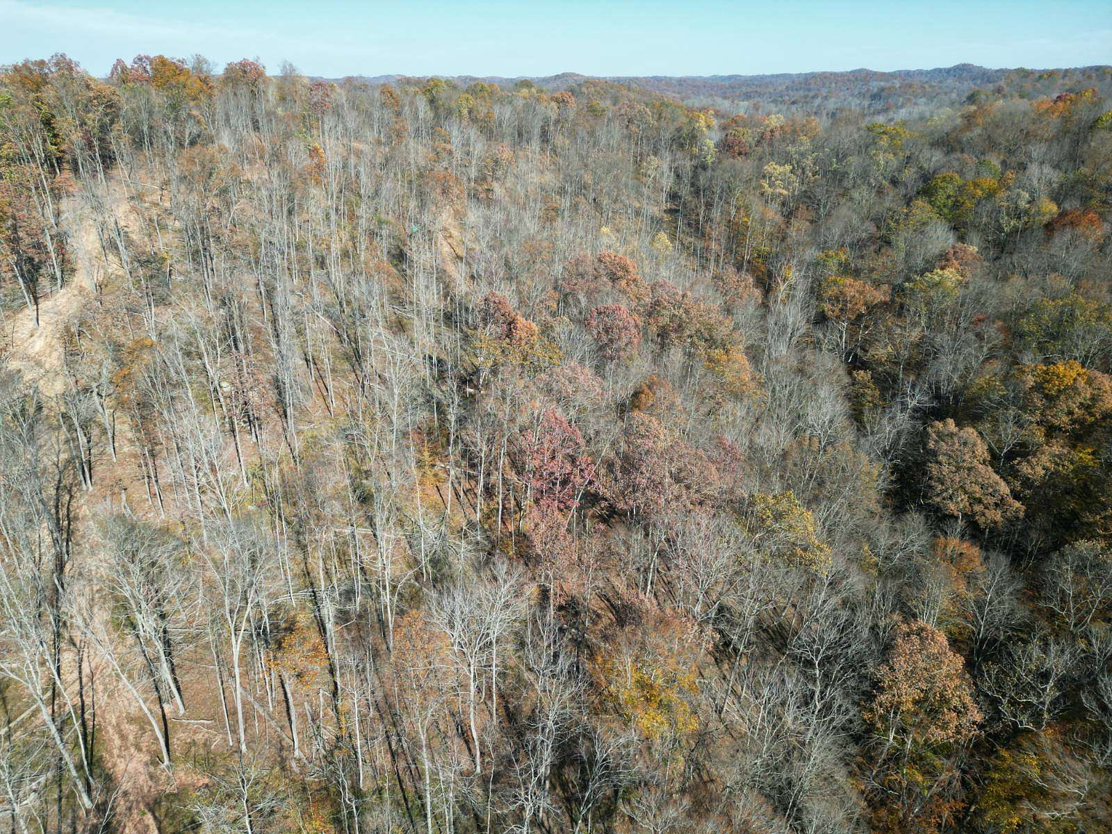 14 Acres of Recreational Land for Sale in Walton, West Virginia