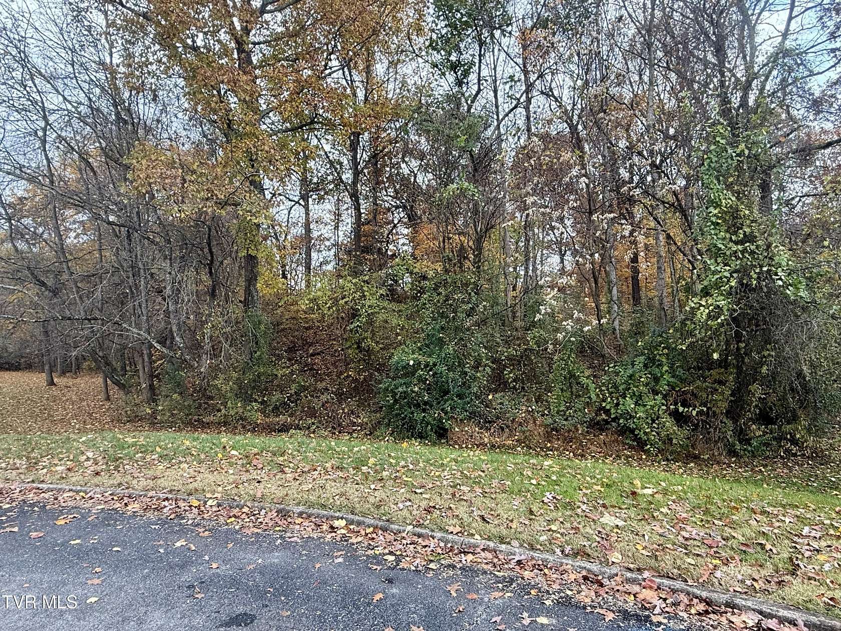 0.69 Acres of Residential Land for Sale in Gray, Tennessee