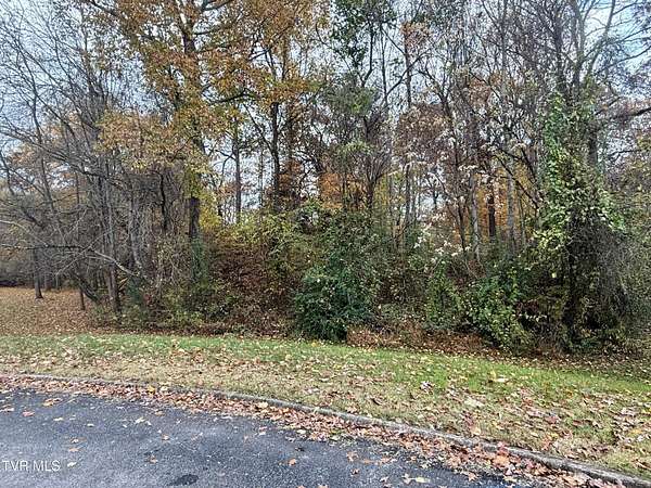 0.69 Acres of Residential Land for Sale in Gray, Tennessee