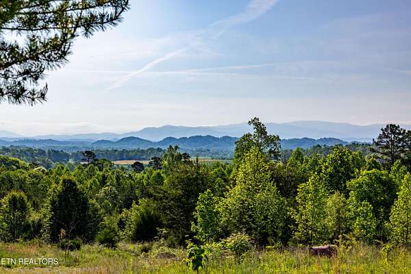 21 Acres of Agricultural Land for Sale in Madisonville, Tennessee