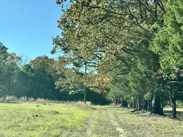 20.5 Acres of Land for Sale in Greenbrier, Arkansas