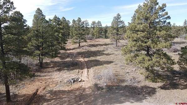 0.27 Acres of Residential Land for Sale in Pagosa Springs, Colorado