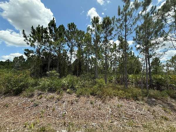 1.5 Acres of Residential Land for Sale in Okeechobee, Florida