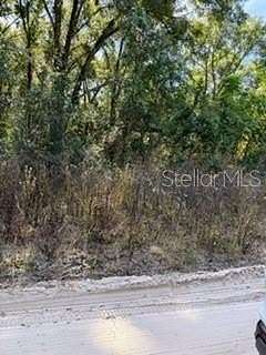 0.34 Acres of Residential Land for Sale in Belleview, Florida