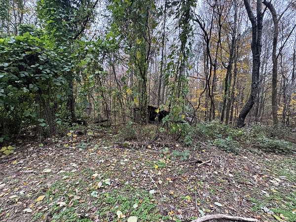 1.9 Acres of Residential Land for Sale in Gainesboro, Tennessee