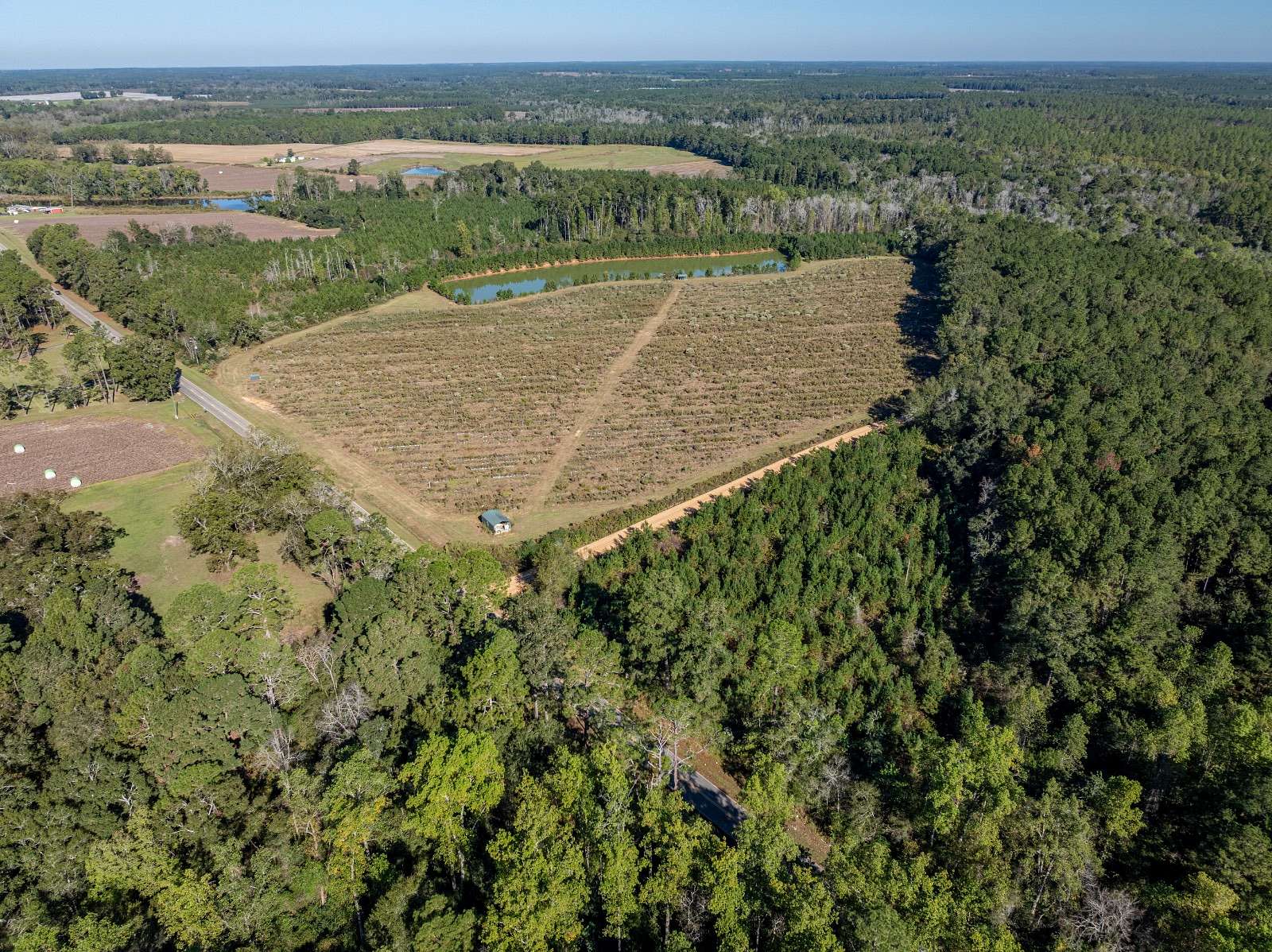 32.8 Acres of Agricultural Land for Auction in Meigs, Georgia
