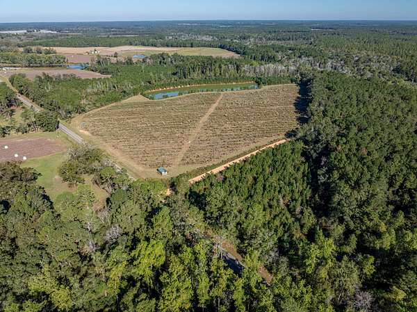 32.8 Acres of Agricultural Land for Auction in Meigs, Georgia