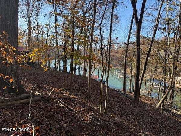 1 Acre of Residential Land for Sale in La Follette, Tennessee