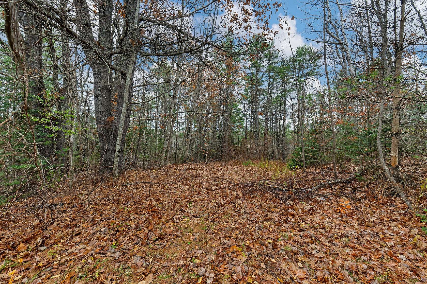 30 Acres of Land for Sale in Wiscasset, Maine