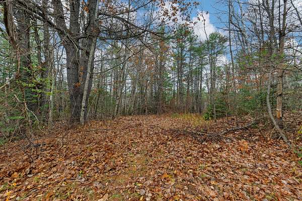 30 Acres of Land for Sale in Wiscasset, Maine