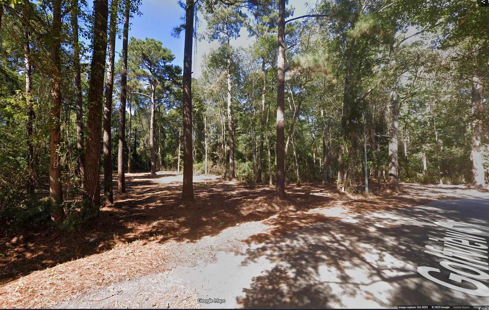 0.59 Acres of Residential Land for Sale in Johnsonville, South Carolina
