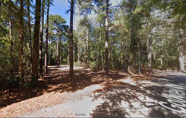 0.59 Acres of Residential Land for Sale in Johnsonville, South Carolina