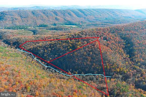 40.2 Acres of Recreational Land for Sale in Romney, West Virginia