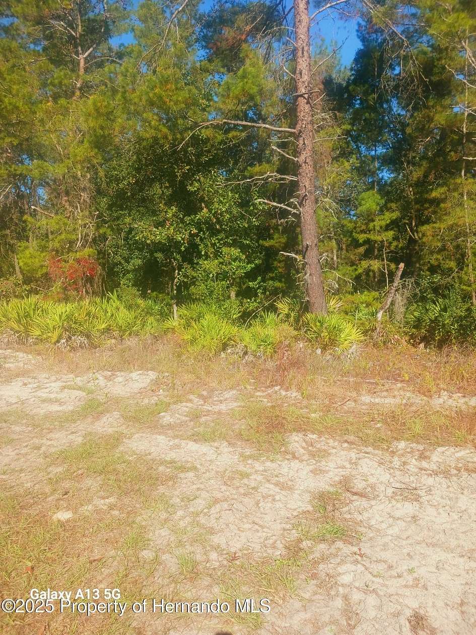 0.31 Acres of Land for Sale in Homosassa, Florida